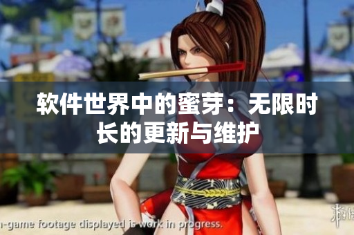软件世界中的蜜芽：无限时长的更新与维护