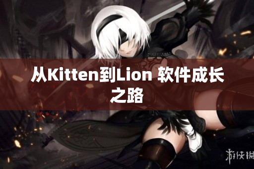 从Kitten到Lion 软件成长之路