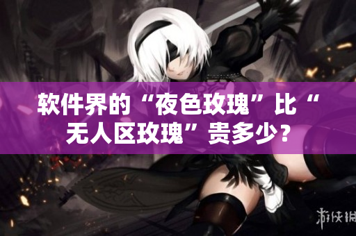 软件界的“夜色玫瑰”比“无人区玫瑰”贵多少？