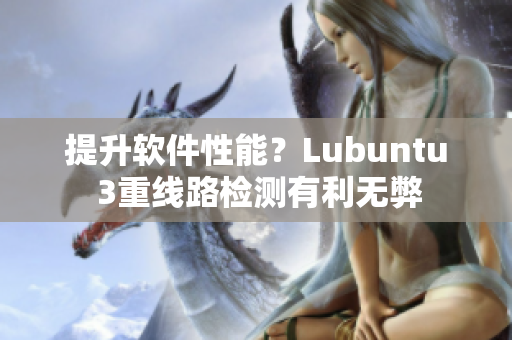 提升软件性能？Lubuntu 3重线路检测有利无弊