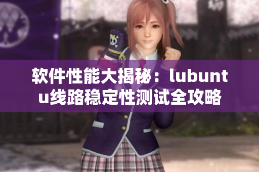 软件性能大揭秘：lubuntu线路稳定性测试全攻略