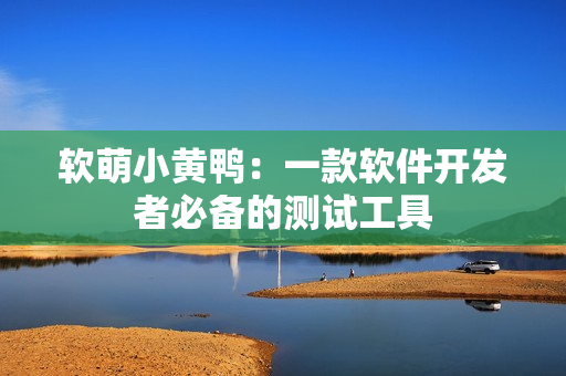 软萌小黄鸭：一款软件开发者必备的测试工具