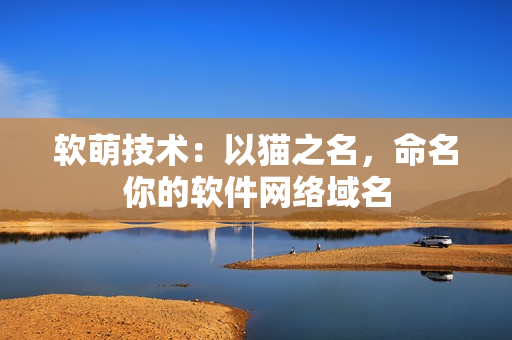 软萌技术：以猫之名，命名你的软件网络域名