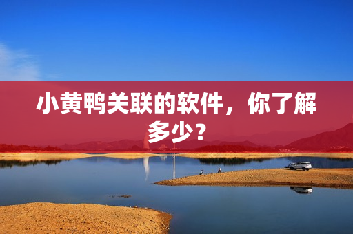 小黄鸭关联的软件，你了解多少？
