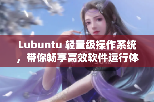 Lubuntu 轻量级操作系统，带你畅享高效软件运行体验
