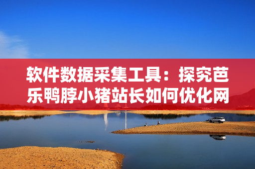 软件数据采集工具：探究芭乐鸭脖小猪站长如何优化网站流量的秘密！