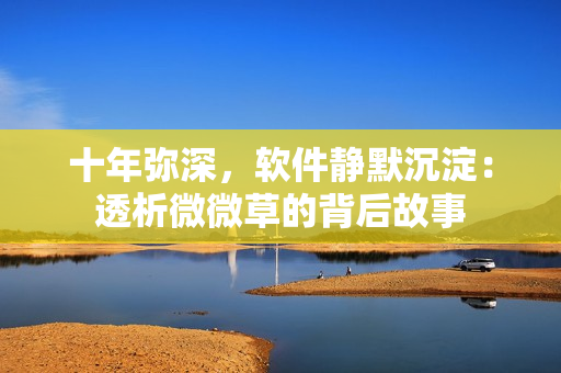 十年弥深，软件静默沉淀：透析微微草的背后故事