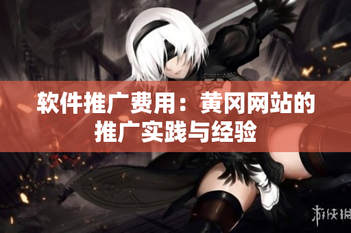 软件推广费用：黄冈网站的推广实践与经验
