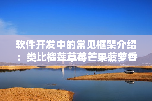 软件开发中的常见框架介绍：类比榴莲草莓芒果菠萝香蕉，真正助力开发