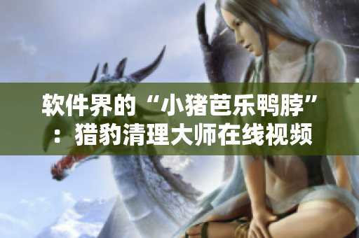 软件界的“小猪芭乐鸭脖”：猎豹清理大师在线视频