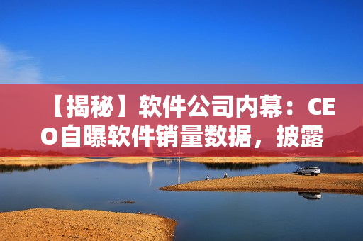 【揭秘】软件公司内幕：CEO自曝软件销量数据，披露开发过程奥秘
