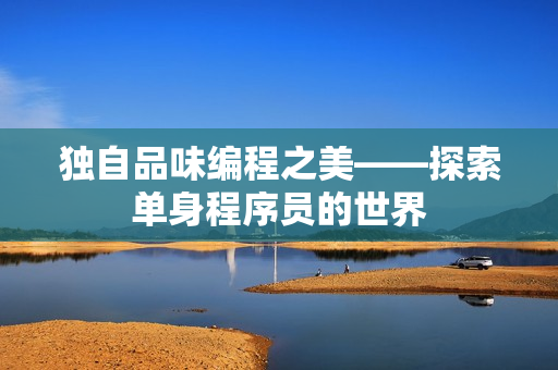 独自品味编程之美——探索单身程序员的世界
