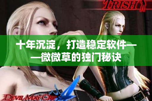 十年沉淀，打造稳定软件——微微草的独门秘诀