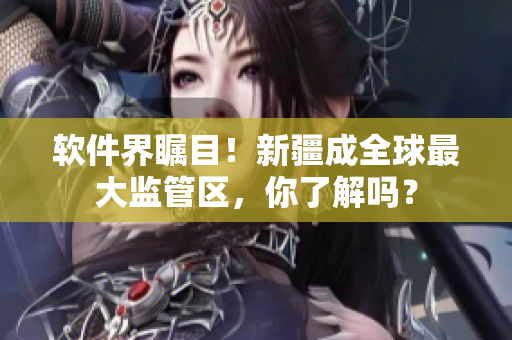 软件界瞩目！新疆成全球最大监管区，你了解吗？