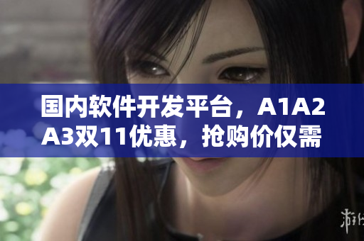 国内软件开发平台，A1A2A3双11优惠，抢购价仅需xxx元