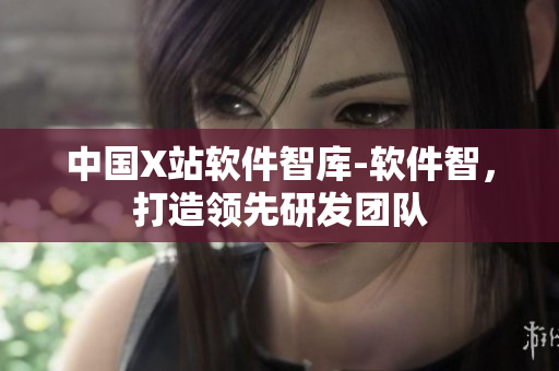 中国X站软件智库-软件智，打造领先研发团队