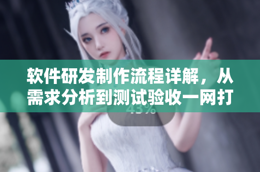 软件研发制作流程详解，从需求分析到测试验收一网打尽