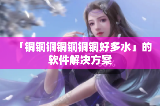 「铜铜铜铜铜铜铜好多水」的软件解决方案