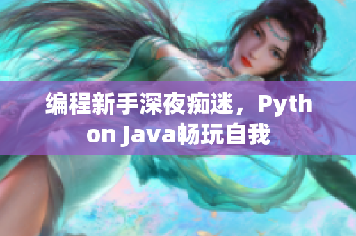 编程新手深夜痴迷，Python Java畅玩自我