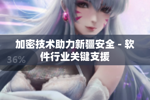 加密技术助力新疆安全 - 软件行业关键支援