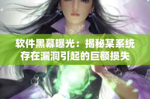 软件黑幕曝光：揭秘某系统存在漏洞引起的巨额损失