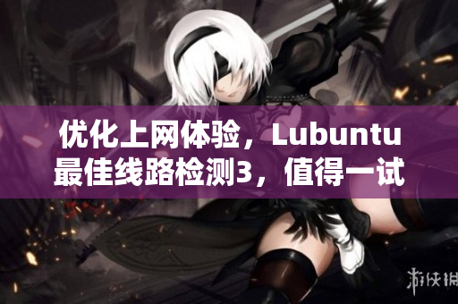 优化上网体验，Lubuntu最佳线路检测3，值得一试！