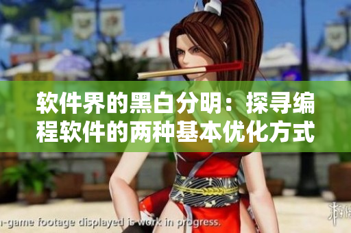 软件界的黑白分明：探寻编程软件的两种基本优化方式
