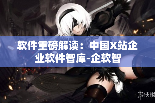 软件重磅解读：中国X站企业软件智库-企软智