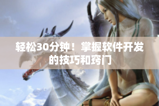 轻松30分钟！掌握软件开发的技巧和窍门