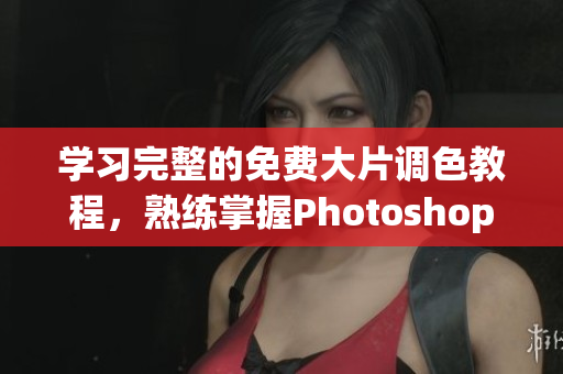学习完整的免费大片调色教程，熟练掌握Photoshop软件的使用技巧
