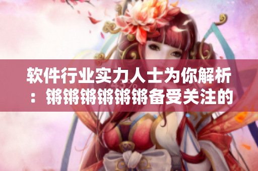 软件行业实力人士为你解析：锵锵锵锵锵锵备受关注的软件创新！