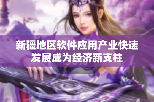 新疆地区软件应用产业快速发展成为经济新支柱