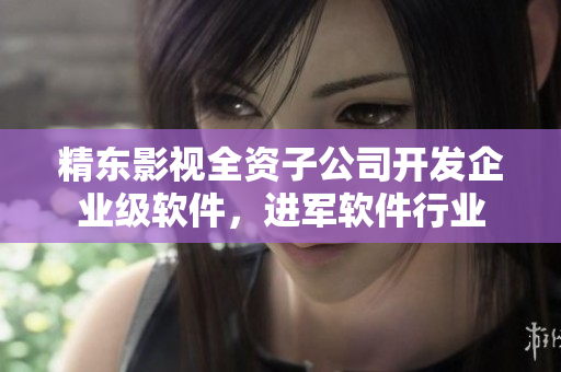 精东影视全资子公司开发企业级软件，进军软件行业