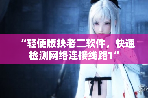 “轻便版扶老二软件，快速检测网络连接线路1”