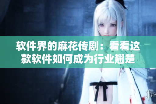 软件界的麻花传剧：看看这款软件如何成为行业翘楚