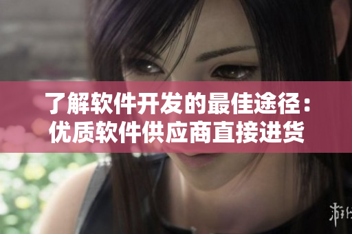 了解软件开发的最佳途径：优质软件供应商直接进货