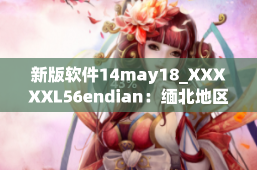 新版软件14may18_XXXXXL56endian：缅北地区网络速度提升(1)