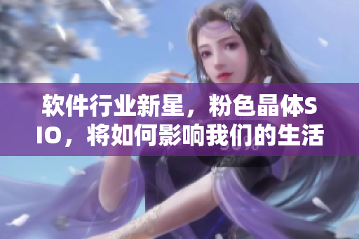 软件行业新星，粉色晶体SIO，将如何影响我们的生活？