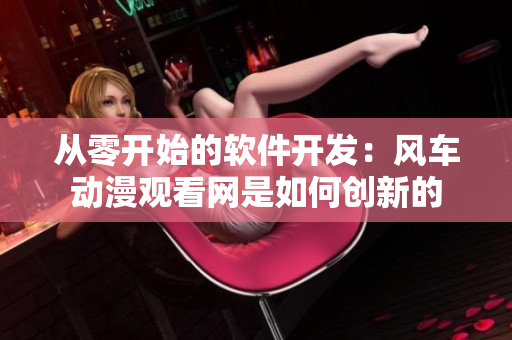 从零开始的软件开发：风车动漫观看网是如何创新的
