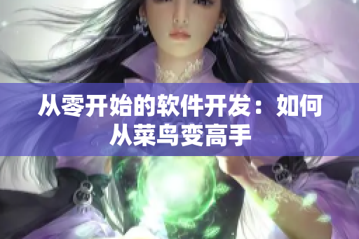 从零开始的软件开发：如何从菜鸟变高手
