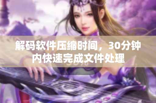 解码软件压缩时间，30分钟内快速完成文件处理