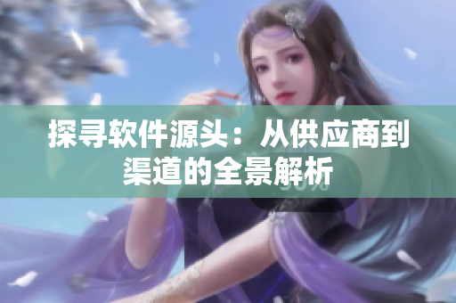 探寻软件源头：从供应商到渠道的全景解析