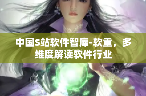中国S站软件智库-软重，多维度解读软件行业
