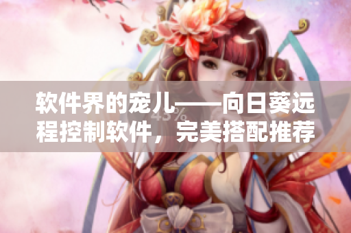 软件界的宠儿——向日葵远程控制软件，完美搭配推荐
