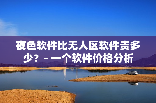 夜色软件比无人区软件贵多少？- 一个软件价格分析