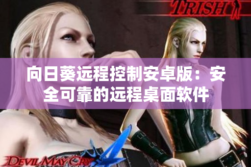 向日葵远程控制安卓版：安全可靠的远程桌面软件