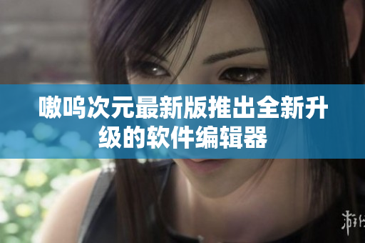 嗷呜次元最新版推出全新升级的软件编辑器