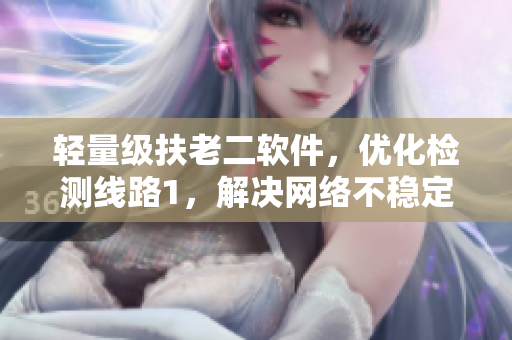 轻量级扶老二软件，优化检测线路1，解决网络不稳定问题