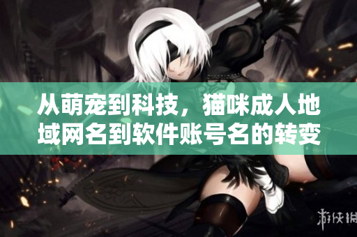 从萌宠到科技，猫咪成人地域网名到软件账号名的转变