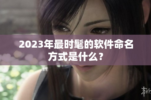 2023年最时髦的软件命名方式是什么？